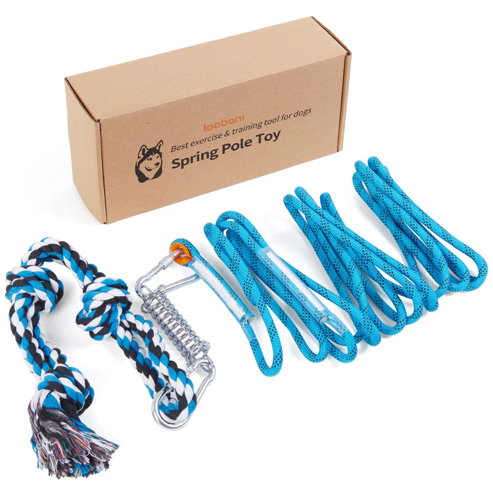 LOOBANI Spring Pole Toy mounted outdoors for interactive tug and energy burn