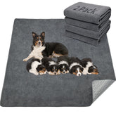 LOOBANI two-packs extra-large dog mat showing full floor coverage for training