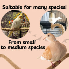 Lovely Little Flyers customizable perch in spiral shape to match your cage layout.