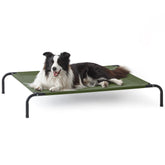 Love's cabin elevated dog bed with outdoor breathable mesh for cooling.