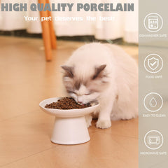 LOVINFURBABY porcelain cat bowl made from safe materials.
