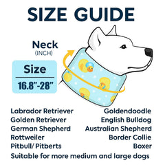 LovinPet soft memory-foam collar provides gentle support for healing