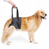 Lqyom dog sling for large dogs hip back-leg support aids mobility during walks