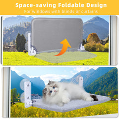 lrjrizzo cat window perch supports up to 40 pounds for safe lounging.