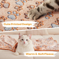Luciphia blanket shows double-sided coral velvet texture for plush warmth.