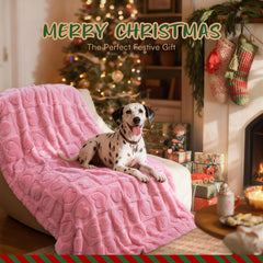 Luciphia blanket protects furniture while keeping pets comfortable on the couch.
