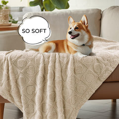 Luciphia couch protection blanket guarding upholstery while keeping pets warm.