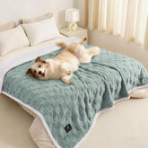 Luciphia waterproof dog blanket cover protecting a sofa from spills and fur.