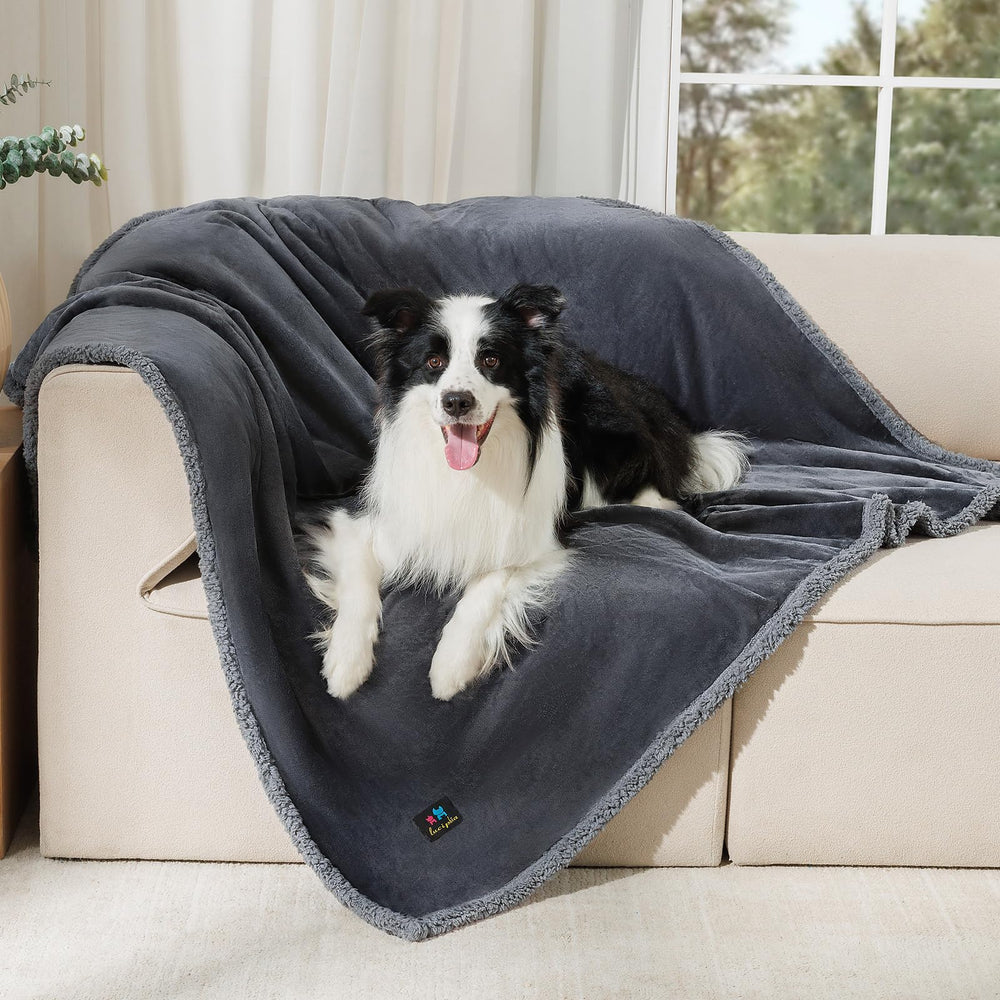 Luciphia waterproof pet blanket on sofa provides effective protection from spills.