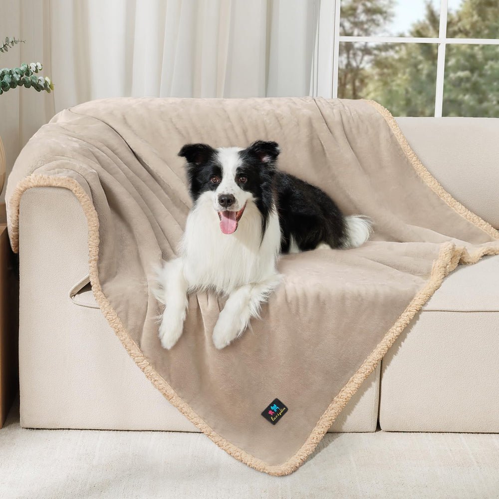 Luciphia waterproof pet blanket on sofa protects against spills and accidents.