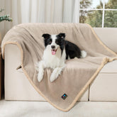 Luciphia waterproof pet blanket on sofa protects against spills and accidents.
