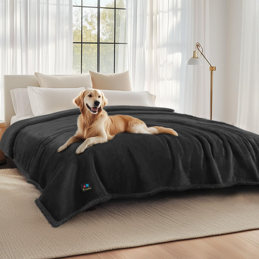Luciphia waterproof pet blanket on sofa protecting against spills and messes
