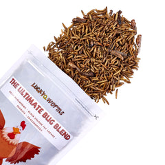 LuckyQworms dried insect close-up highlighting mealworms, flies, and crickets for poultry