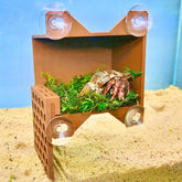 Lucky Critter hermit crab climbing wall provides interactive enrichment for climbing and exploration.