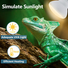 LUCKY HERP heat lamp bulb for turtles supports comfortable basking.
