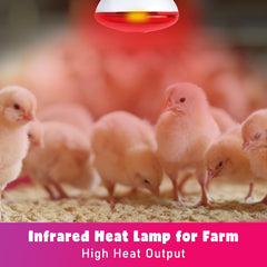 LUCKY HERP 250W infrared bulb with E26 base for reptiles and pets.