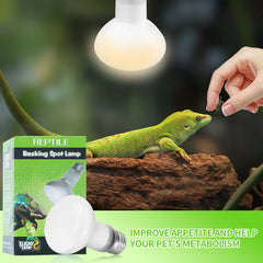 LUCKY HERP basking lamp installed over terrarium providing steady warmth.