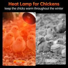 LUCKY HERP heat lamp with E26 base offers easy, secure installation.