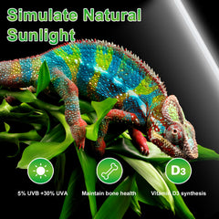 LUCKY HERP T8 15W UVB bulb dual-pack enables broader coverage for larger enclosures.