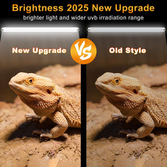 LUCKY HERP T8 18W UVB 10.0 wide-coverage lighting over a glass terrarium for full-area exposure.