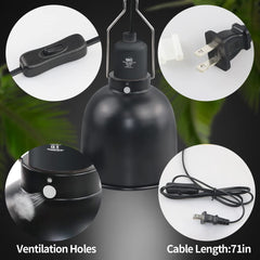 LUCKY HERP UVB and basking bulb compatibility enables versatile enclosure lighting.