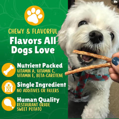 Lucky Premium Treats dog enjoying savory sweet potato straws