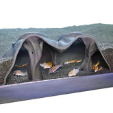 Lucky Critter aquarium underground cave natural mangrove tree for hiding shy fish.