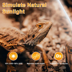 LUCKY HERP T8 UVB 15W bright terrarium coverage across enclosures.