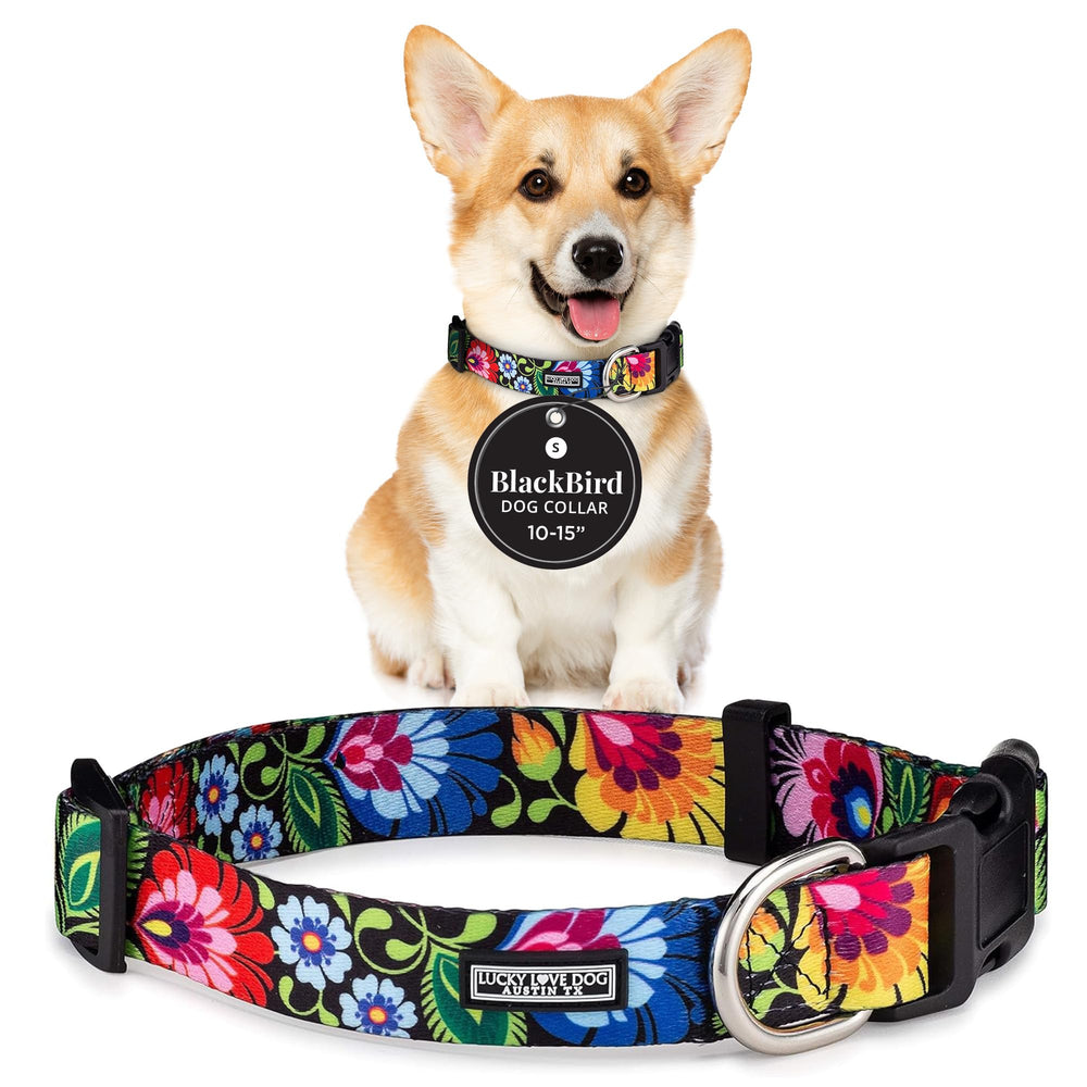 Lucky Love Dog adjustable collar with easy click buckle for small dogs, secure and comfy