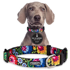 Lucky Love Dog adjustable collar with easy buckle for secure, comfortable medium dogs.