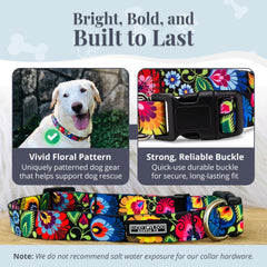 Lucky Love Dog easy-click buckle collar for quick on/off during outdoor adventures