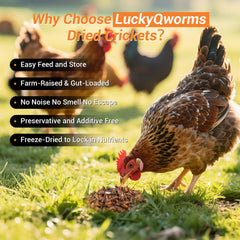 LuckyQworms resealable bag shown for mess-free storage