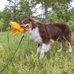 LUCOLOVE replacement duck promotes varied play during outdoor tug.