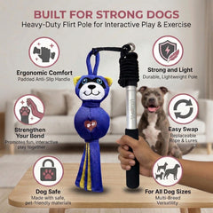 LUCOLOVE Flirt Pole backyard play for medium and large dogs outdoors