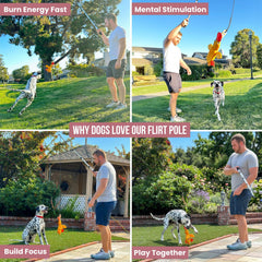LUCOLOVE retractable flirt pole shows compact 13-inch storage length.