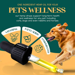 Lucy and Lily calming drops ease travel for pets