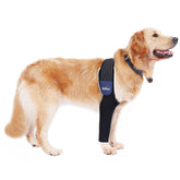 LufeLux dog front leg sleeve closeup protects against licking and dirt