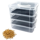 LUKHMELF mealworm breeding kit with lockdown clips keeps insects contained during care.
