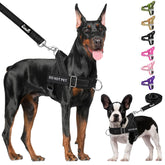 Lukovee No Pull Harness back O-ring for smooth everyday walks