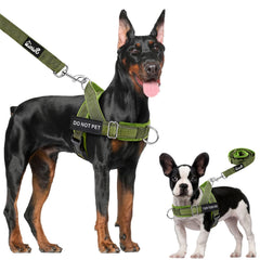 Lukovee no pull harness green for comfortable, controlled walks.