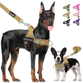Lukovee No Pull Harness overview for comfortable daily wear