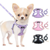 Lukovee No Pull Puppy Harness XXS on a small dog, ultra-light comfort for walks