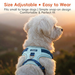 LULUPET breathable mesh keeps dogs cool and comfortable