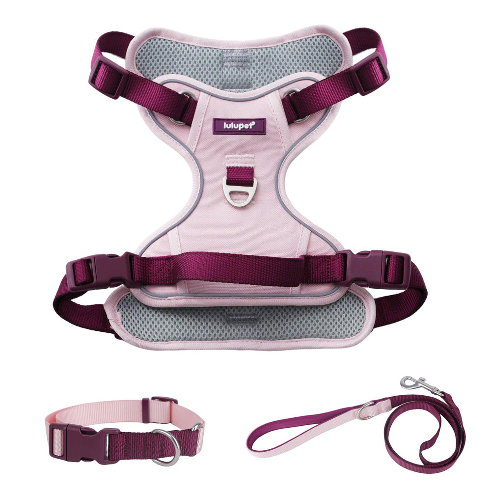 LULUPET pink dog harness back view with a control handle for quick restraint