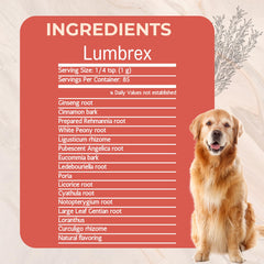 Close-up of Lumbrex powder highlights organic herbal extract for joint comfort.