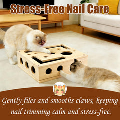 Lumixa wooden enrichment puzzle toy for indoor cats