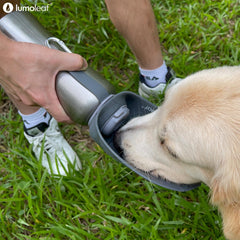 LumoLeaf 2in1 water bowl design in grey ready for adventures.