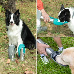 LumoLeaf 2-in-1 water bowl design shown for quick dog hydration.