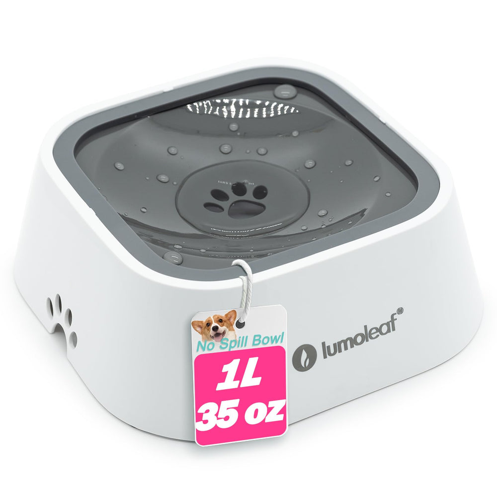 LumoLeaf No Spill Water Bowl with floating disk prevents splashes during drinking.
