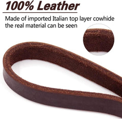 Dog walking in a park with LWBMG leather leash for controlled strolls